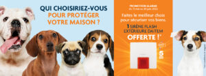 Offre exclusive daitem